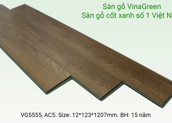 Sàn gỗ VinaGreen VG5555